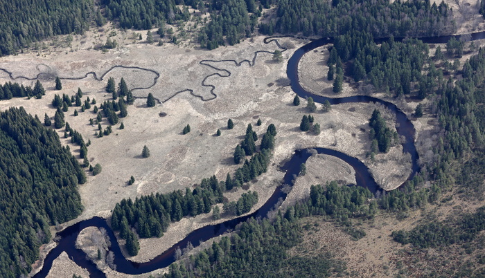 曲流、vltava、šumava、河流、森林、水、自然、高角度视图