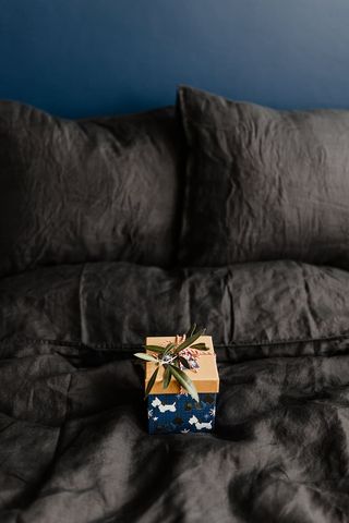 送给可爱小狗的圣诞礼物