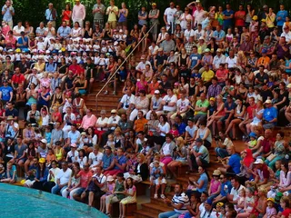 观众、观众席、节目、竞技场、水池、演示、电压、拉伸