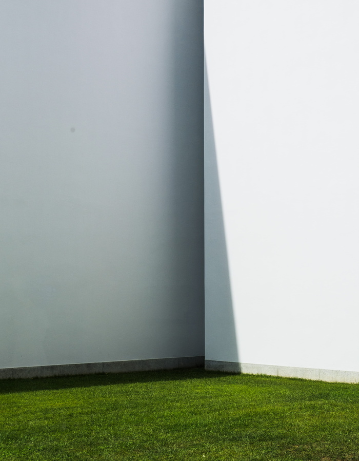 绿草；芒，草，植物，没有人，复制空间，墙-建筑特征，天，建筑