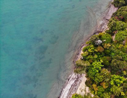 绿树，户外，景观，风景，鸟瞰，土地，海岸线，水