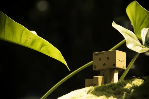 棕色亚马逊玩具盒位于绿草上