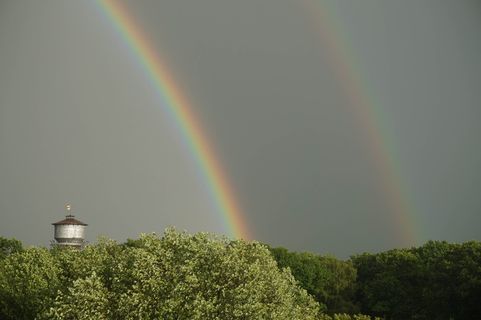 水塔，彩虹，双彩虹，树，自然之美，植物，风景-自然，多色