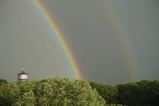 水塔，彩虹，双彩虹，树，自然之美，植物，风景-自然，多色