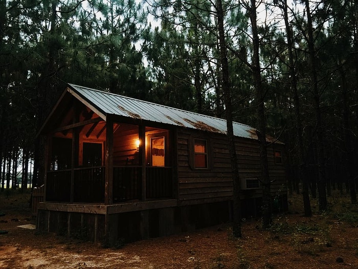 平房，小屋，森林，家，房子，乡村，树木，树林