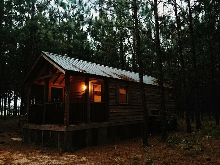 平房，小屋，森林，家，房子，乡村，树木，树林