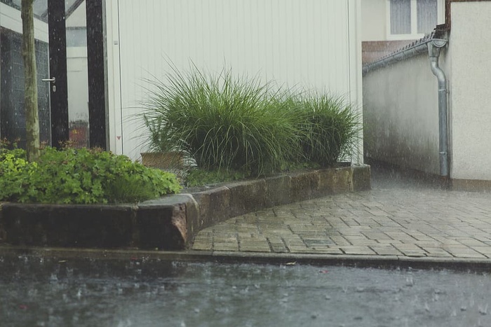 木材、光线、景观、水、建筑、建筑、日光、环境