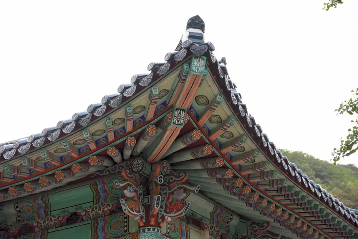屋顶瓦，汉诺克，屋檐，建筑，建筑结构，低角度视图，建筑外观，天空