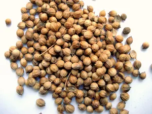 胡桃、胡荽、胡荽果、大量物品、食物、食物和饮料、新鲜度、健康