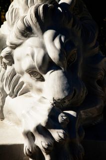 雕像、狮子、动物、白色、石头、大理石、雕塑、艺术和工艺