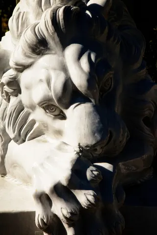 雕像、狮子、动物、白色、石头、大理石、雕塑、艺术和工艺