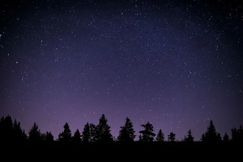 自然,夜晚,轮廓,天空,星星,树木,恒星空间,天文学 自然,夜晚,轮廓,天空,星星,树木,恒星空间,天文学