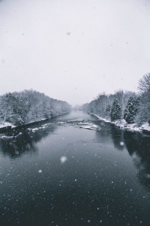 白天被雪覆盖的树之间的湖