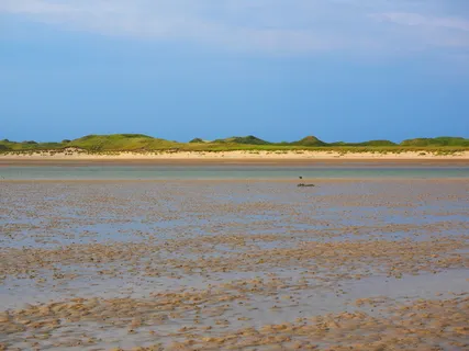 普里尔, 瓦, 瓦登海, 浅, 沙丘, 沙丘景观, 沙, 瓦特徒步旅行