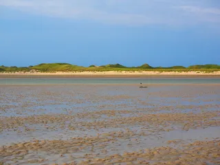 普里尔, 瓦, 瓦登海, 浅, 沙丘, 沙丘景观, 沙, 瓦特徒步旅行