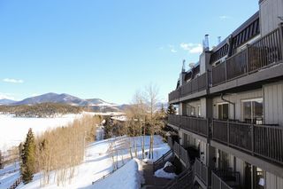 建筑、植物、树木、家居装饰、城市、高层、城市、城镇