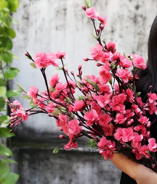 玫瑰，绉纸，绉花，艺术，纸，花，颜色，五颜六色