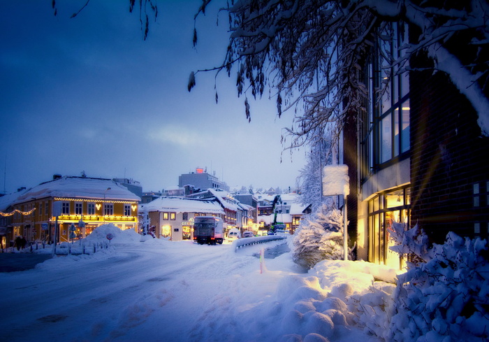 挪威, 特罗姆瑟, 蓝色, 冬天, 雪, hygge, 树, 圣诞节