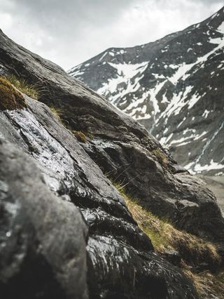 白昼绿草丛生的落基山
