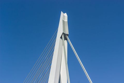 荷兰鹿特丹的伊拉斯谟大桥。