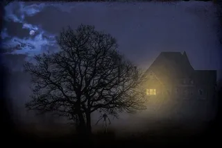 无叶树，夜间，阴郁，黑暗，神秘，夜晚，树，月亮