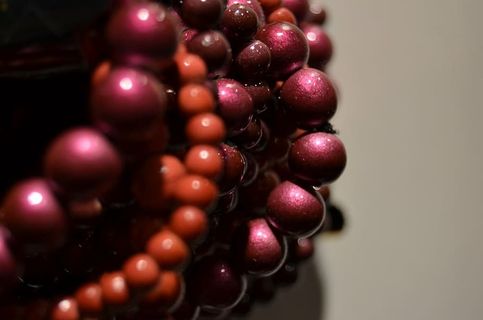 项链，花冠，模型，装饰品，红色，食品和饮料，健康饮食，食品