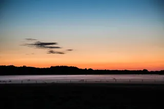 日落，草地，森林，绵羊，风景，浪漫，太阳，自然