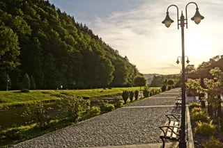 道路、旅行、树木、指示、自然、公园、河岸、河流