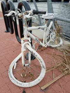 飓风irma，irma，飓风，杰克逊维尔，着陆，损坏，自行车，运输