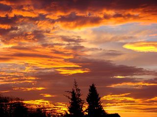 日出，天空，morgenrot，天气，云，云-天空，日落，橙色