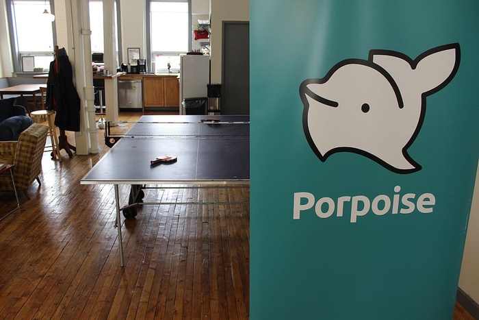 加拿大，蒙克顿，海豚，创业生活，文化，乒乓球，科技公司，乐趣