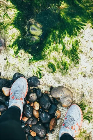 人，站立，灰色，卵石，穿着，双人，红色，蕾丝