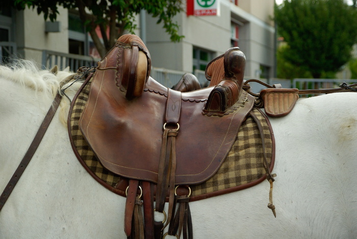 camargue, 马, 马鞍, 皮革, 哺乳动物, 牲畜, 家养动物, 国内