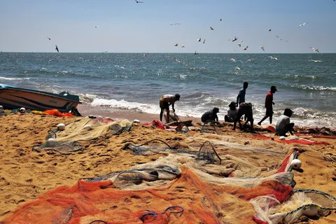 海洋, 海滩, 渔夫, 网络, 沙子, 人, 工作, 交通