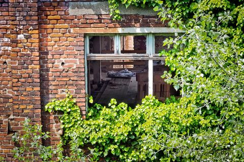 遗失，房间，遗失的地方，离开，照片，旧，腐烂，失效