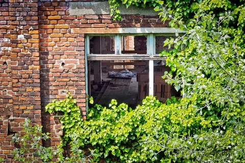 遗失，房间，遗失的地方，离开，照片，旧，腐烂，失效