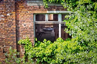 遗失，房间，遗失的地方，离开，照片，旧，腐烂，失效