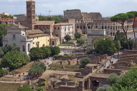 罗马，论坛，斗兽场，建筑，建筑结构，建筑外观，树木，过去