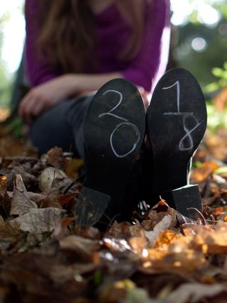 美国，莫加多尔，wingfoot湖州立公园，白垩，乡村，秋天，树叶，老年