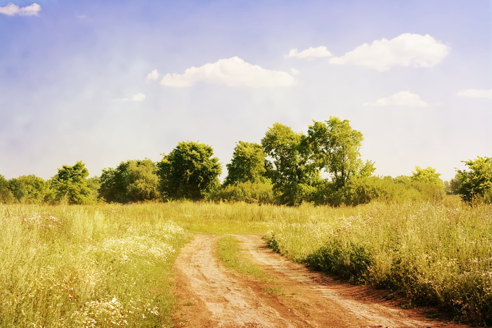 con2011，乡村，风景，自然，和平，风景，风景，道路