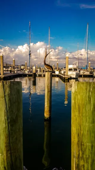 美国，科珀斯克里斯蒂，67人st t-head，水，反射，天空，云天，交通