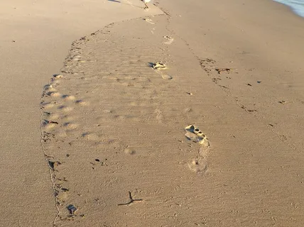 土地,沙滩,海滩,足迹,高角度视野,自然,轨迹-印记,打印 土地,沙滩,海滩,足迹,高角度视野,自然,轨迹-印记,打印