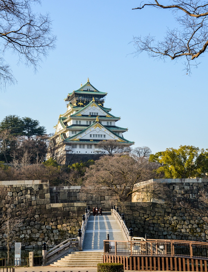 城堡，地标，建筑，历史，大阪，日本，城堡，树