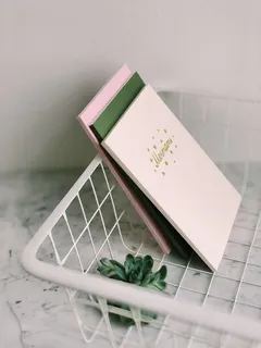 白色书架和多汁植物的特写照片