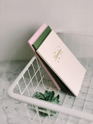 白色书架和多汁植物的特写照片