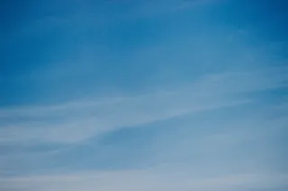 自然、鸟类、飞行、动物、户外、休闲活动、探险、天空