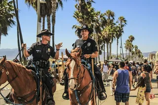 男人，骑马，马，人，男人，警察，马，旅行