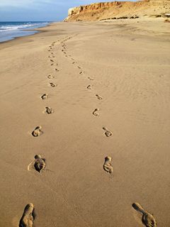 照片，脚印，海岸，晴朗，蓝色，天空，白天，海滩