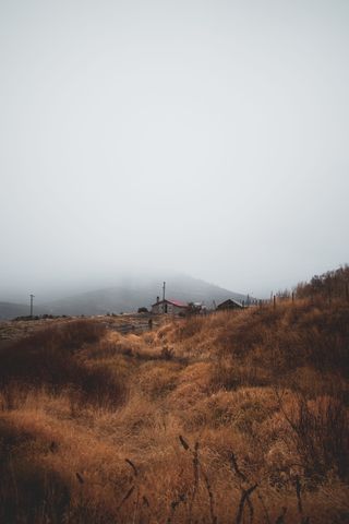 棕色和黑色区域地毯