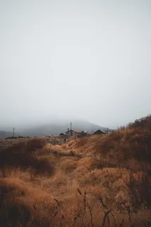 棕色和黑色区域地毯 棕色和黑色区域地毯